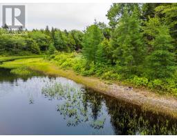Lots Isadore Thibeau Road, Havelock, NS B0W1M0 Photo 11