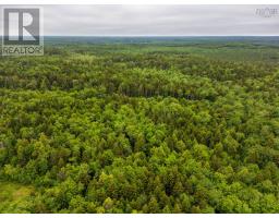 Lots Isadore Thibeau Road, Havelock, NS B0W1M0 Photo 23