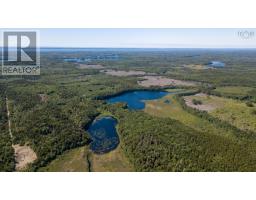 Lots Isadore Thibeau Road, Havelock, NS B0W1M0 Photo 8