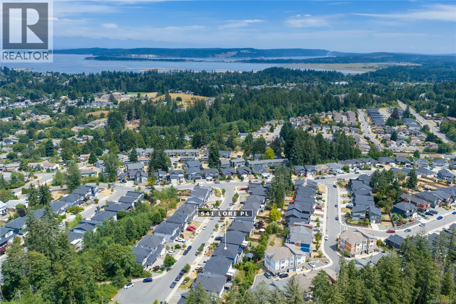 541 Lori Pl - 57