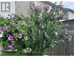 39 Golden Iris Crescent, Hamilton, ON L8B0R6 Photo 41