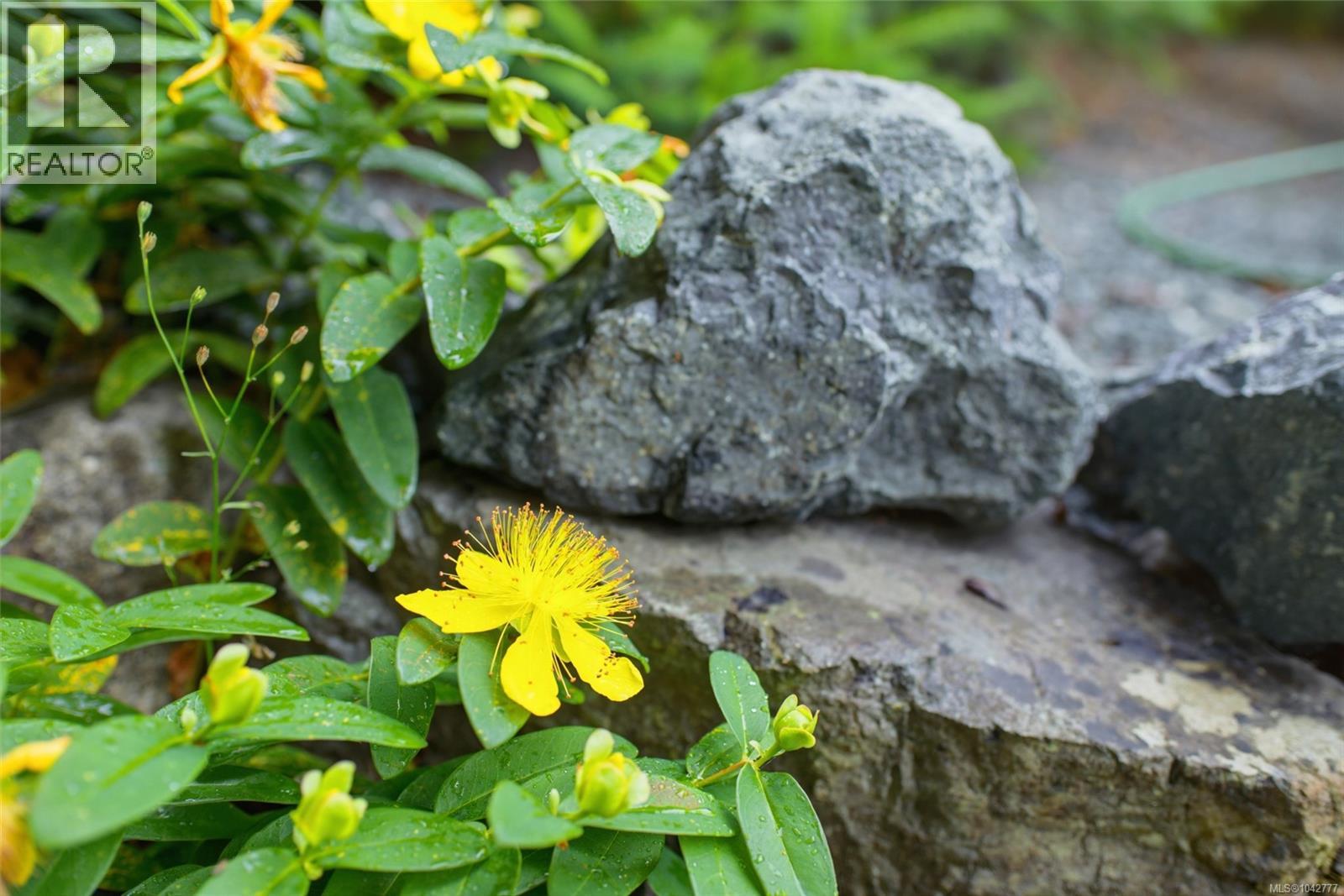 #23 5679 Tomswood Rd - 15