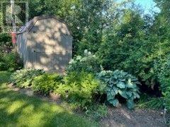 11 Peter Street, North Glengarry, ON K0C1T0 Photo 38