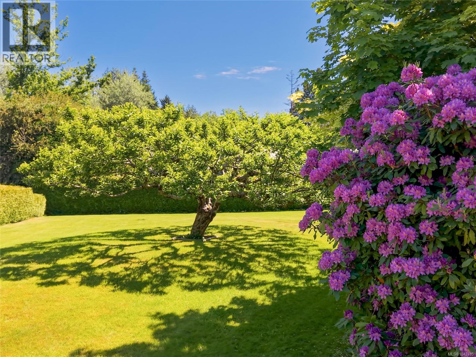 1627 BEAUFORT Ave, Comox