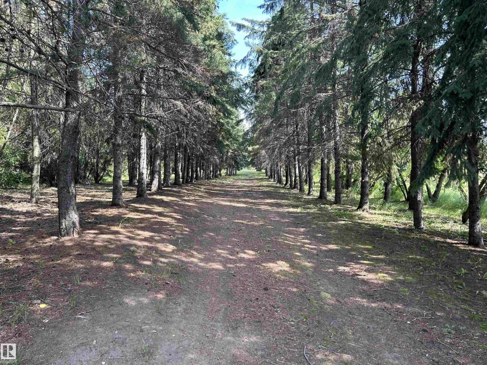 58024 RR210 — photo 18