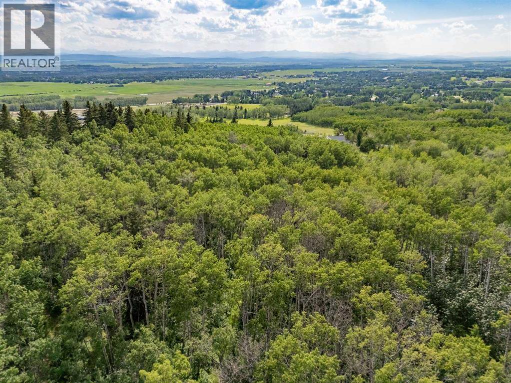 25151 Escarpment Ridge View - Photo 6
