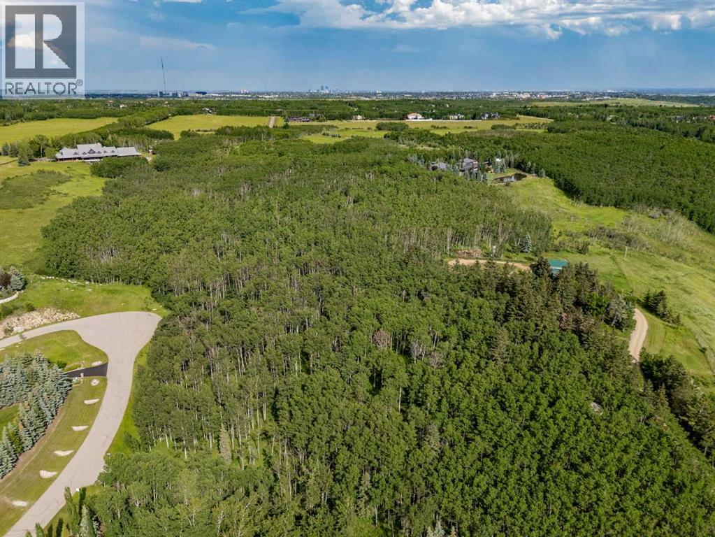 25151 Escarpment Ridge View - Photo 9