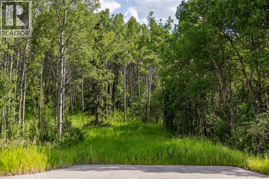 25151 Escarpment Ridge View - Photo 12