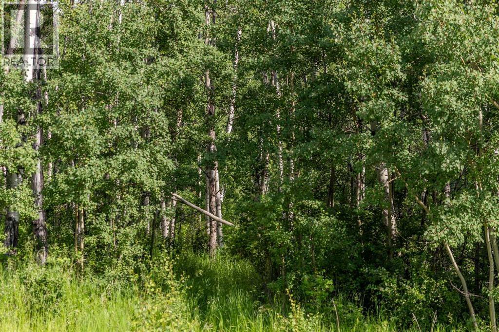 25151 Escarpment Ridge View - Photo 10