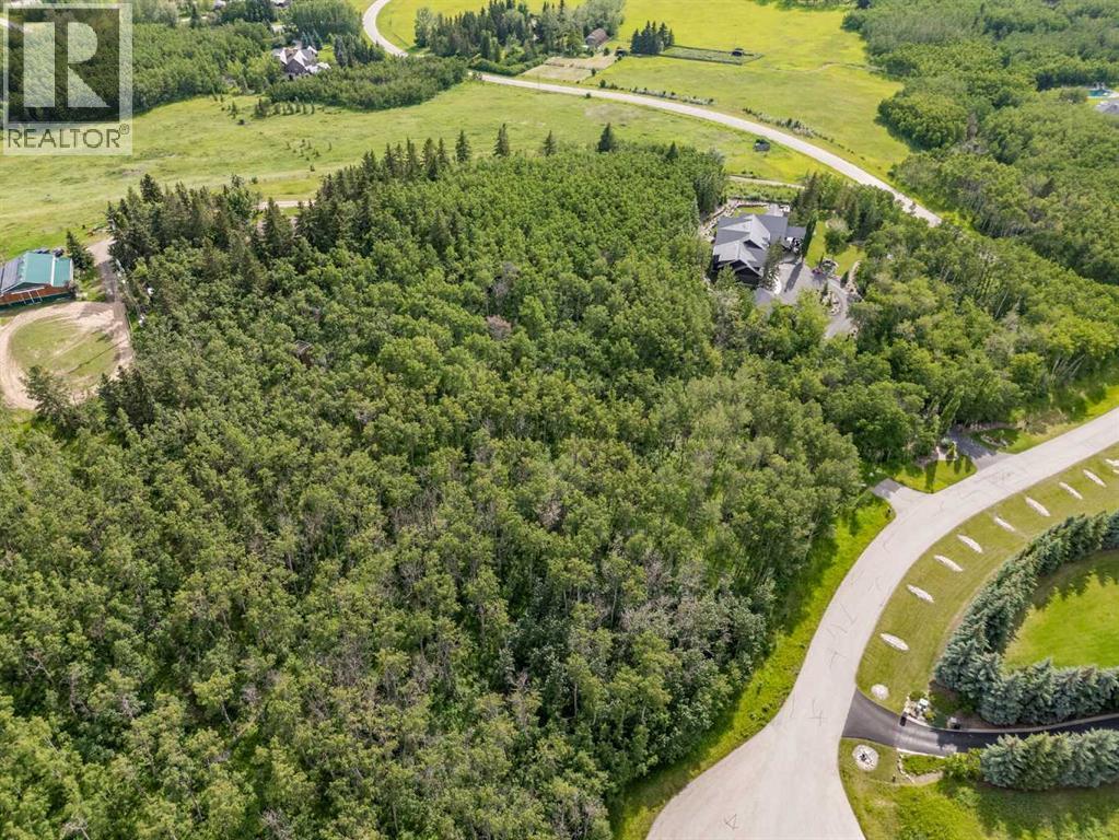 25151 Escarpment Ridge View - Photo 5