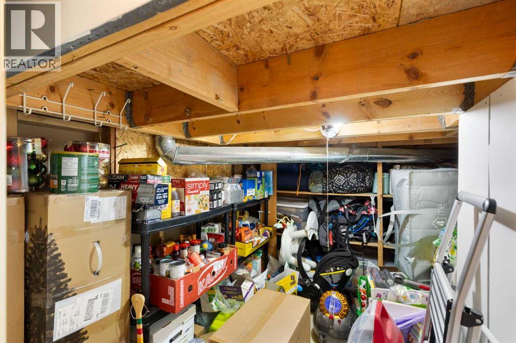 Understairs Storage
