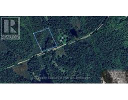1988 Royston Road, Ryerson, ON P0A1C0 Photo 12
