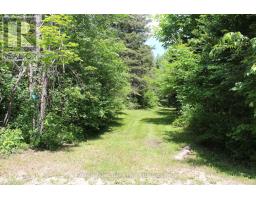 1988 Royston Road, Ryerson, ON P0A1C0 Photo 10