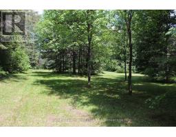 1988 Royston Road, Ryerson, ON P0A1C0 Photo 9