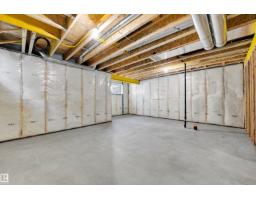 30 Elsinore Pl Nw, Edmonton, AB T5X0M6 Photo 33