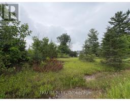 3024 Stoneridge Road, Ottawa, ON K0A1T0 Photo 12