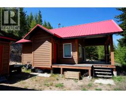 Lot 12 Lower Arrow Lake Road, Renata, BC V1N3N3 Photo 13