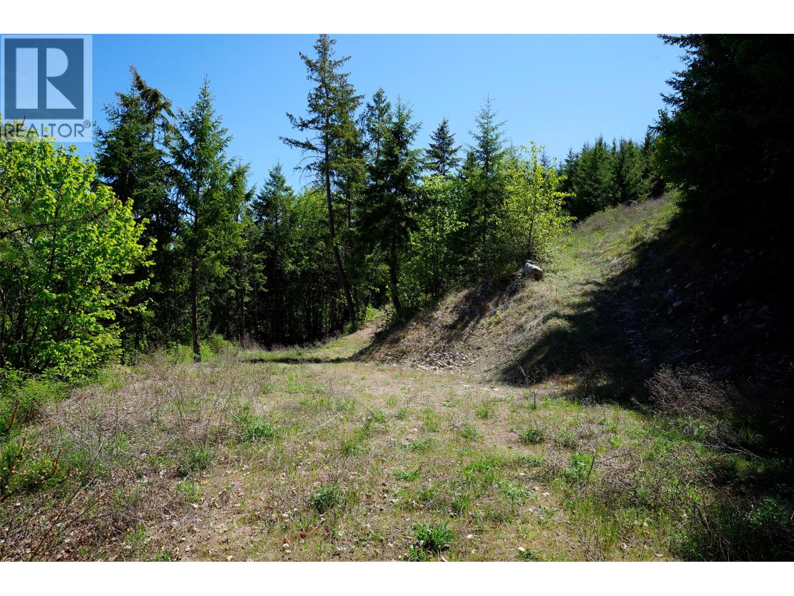 Lot 12 Lower Arrow Lake Road - Image 39