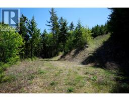Lot 12 Lower Arrow Lake Road, Renata, BC V1N3N3 Photo 39