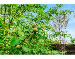 3022 John Street, Edwardsburgh/cardinal, ON K0E1E0 Photo 13