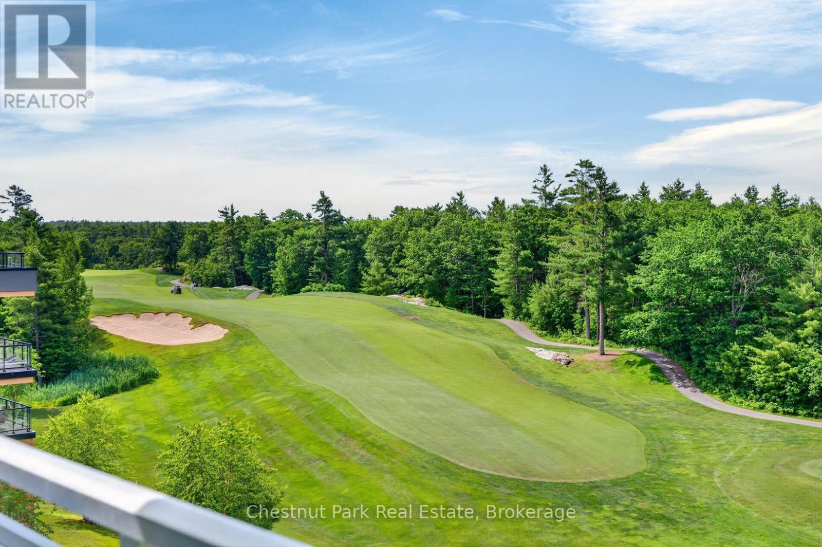100 Carrick Trail — photo 23