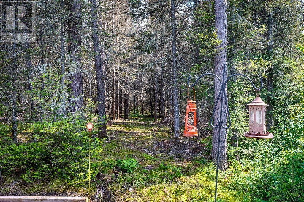 679 BOULDER ROAD - 39