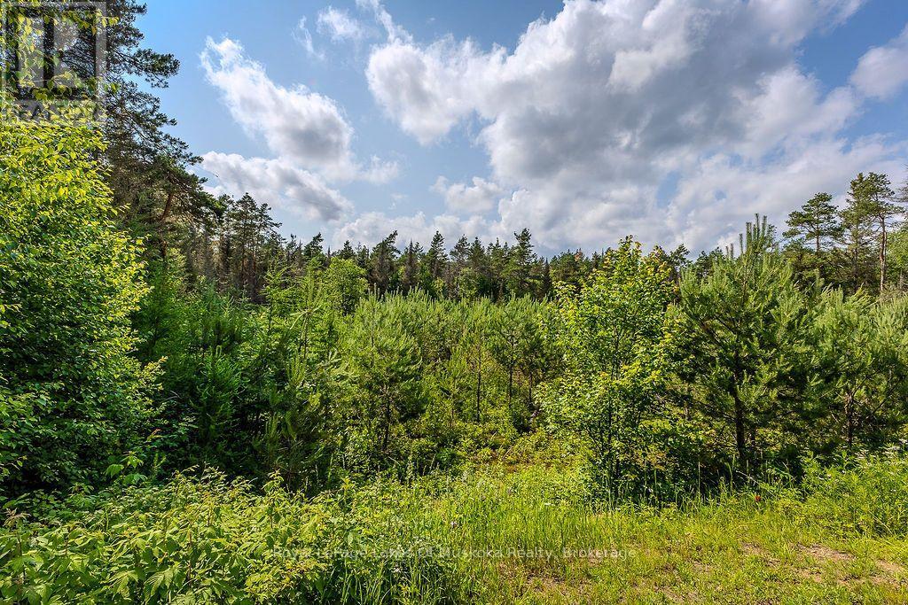 679 BOULDER ROAD - 36