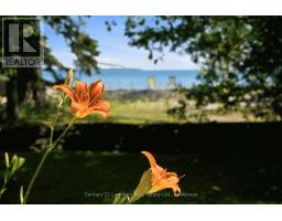 26 Welsh Lane, Prince Edward County, ON K0K2T0 Photo 22