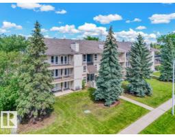 #301 10528 29 Av Nw, Edmonton, AB T6J4J2 Photo 37