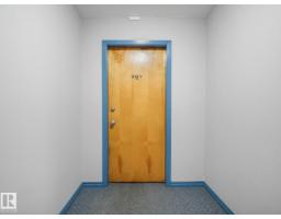 Laundry room - #301 10528 29 Av Nw, Edmonton, AB T6J4J2 Photo 6