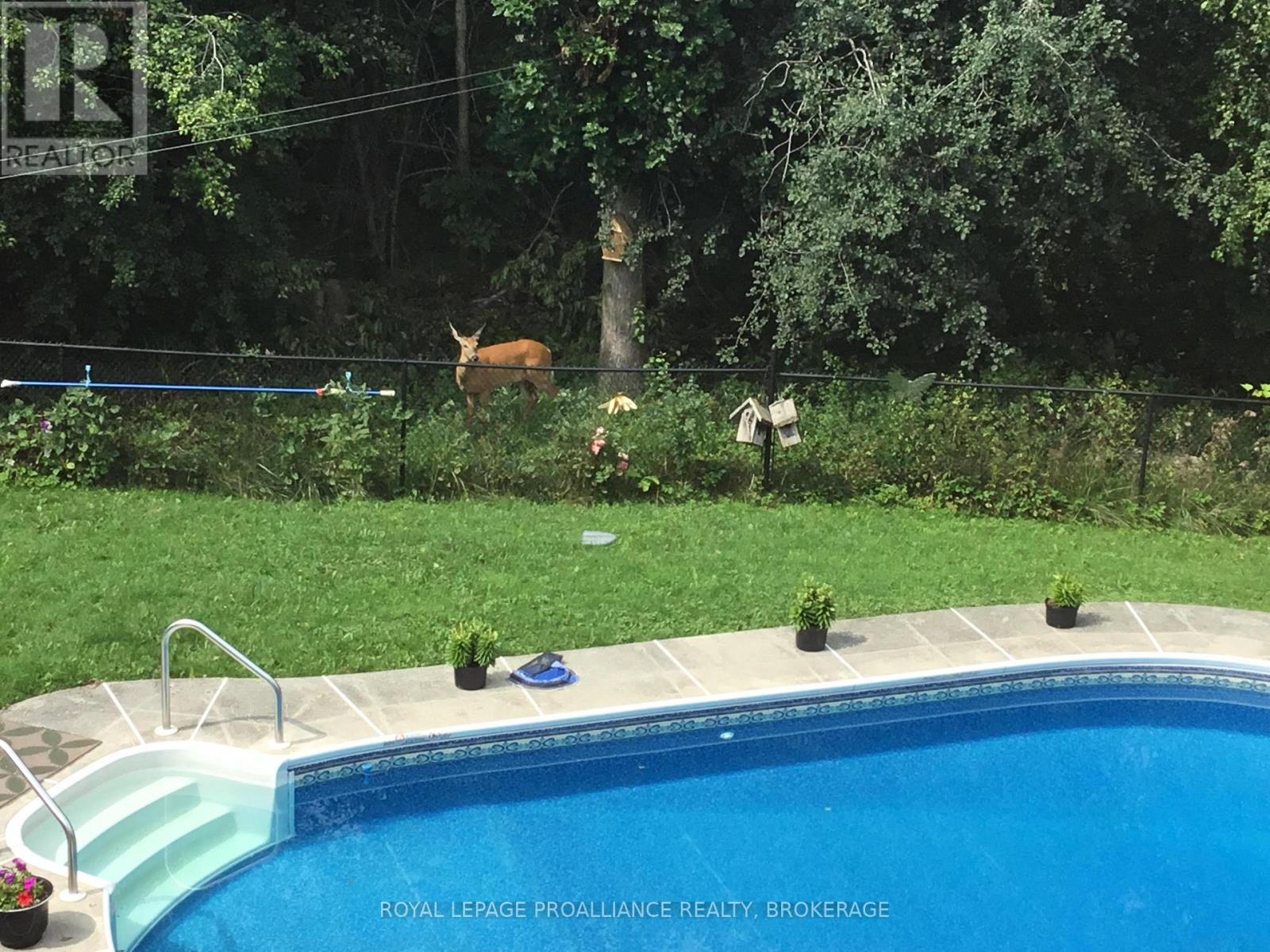 605 FERNMOOR DRIVE - 41