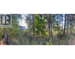 Columbia Place Lot# A, Fairmont Hot Springs, BC V0B1L2 Photo 15
