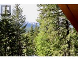 486 Champagne Road Unit# 1, 2, 3,, Golden, BC V0A1H2 Photo 33