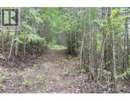 486 Champagne Road Unit# 1, 2, 3,, Golden, BC V0A1H2 Photo 43