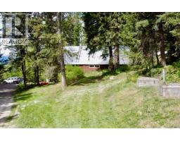 486 Champagne Road Unit# 1, 2, 3,, Golden, BC V0A1H2 Photo 62