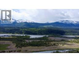 486 Champagne Road Unit# 1, 2, 3,, Golden, BC V0A1H2 Photo 66