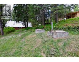 486 Champagne Road Unit# 1, 2, 3,, Golden, BC V0A1H2 Photo 61