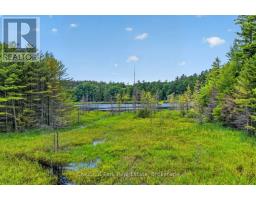 Pt Lt 33 Con 2 (pt 2) Muskoka 118 Road W, Muskoka Lakes, ON P0B1J0 Photo 10