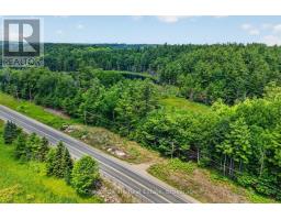 Pt Lt 33 Con 2 (pt 2) Muskoka 118 Road W, Muskoka Lakes, ON P0B1J0 Photo 9