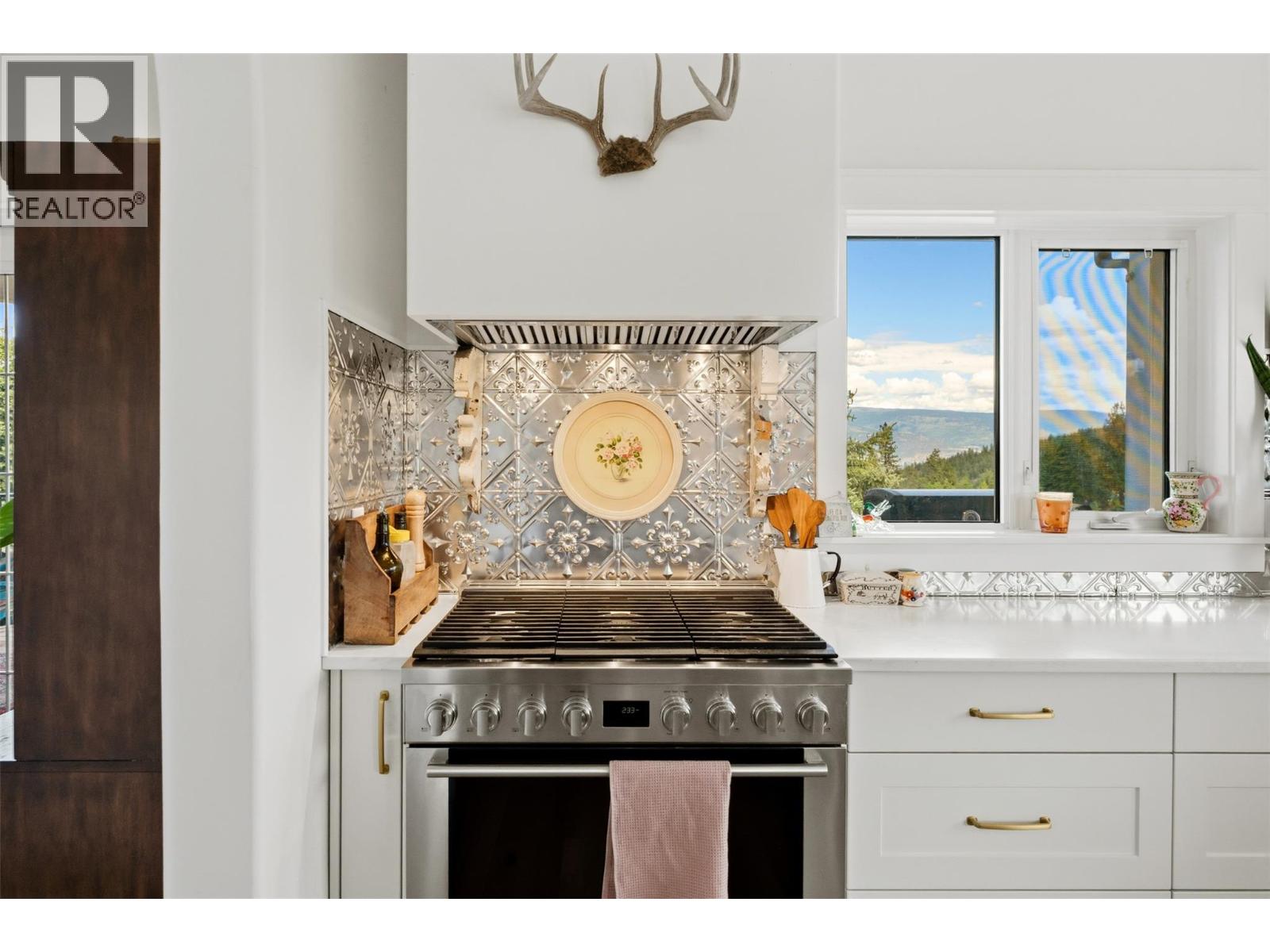 9331 CANYON VIEW Road - 13
