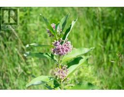 Pt 1 Boyce Road, Alnwick/haldimand, ON K0K1S0 Photo 10
