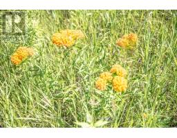 Pt 1 Boyce Road, Alnwick/haldimand, ON K0K1S0 Photo 12