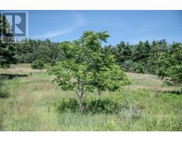 Pt 1 Boyce Road, Alnwick/haldimand, ON K0K1S0 Photo 13