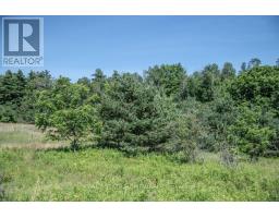 Pt 1 Boyce Road, Alnwick/haldimand, ON K0K1S0 Photo 14