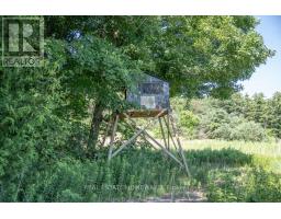 Pt 1 Boyce Road, Alnwick/haldimand, ON K0K1S0 Photo 15
