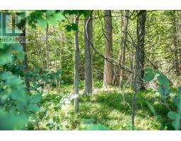 Pt 1 Boyce Road, Alnwick/haldimand, ON K0K1S0 Photo 16
