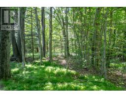 Pt 1 Boyce Road, Alnwick/haldimand, ON K0K1S0 Photo 17