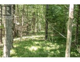 Pt 1 Boyce Road, Alnwick/haldimand, ON K0K1S0 Photo 19