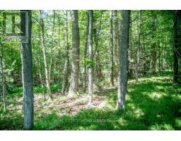 Pt 1 Boyce Road, Alnwick/haldimand, ON K0K1S0 Photo 20