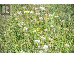 Pt 1 Boyce Road, Alnwick/haldimand, ON K0K1S0 Photo 22